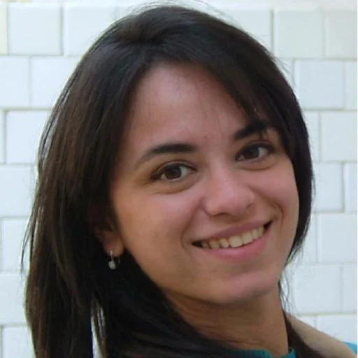 Profile photo of Nikolaos Paraskakis